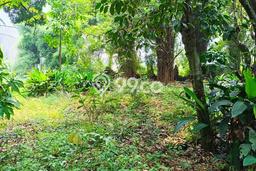 Tanah di Sawangan, Luas 3000m2m², Area Strategis, Dekat Sawangan, Depok, Depok Tanah di Sawangan, Luas 3000m2m², Area Strategis, Dekat Sawangan, Depok, Depok