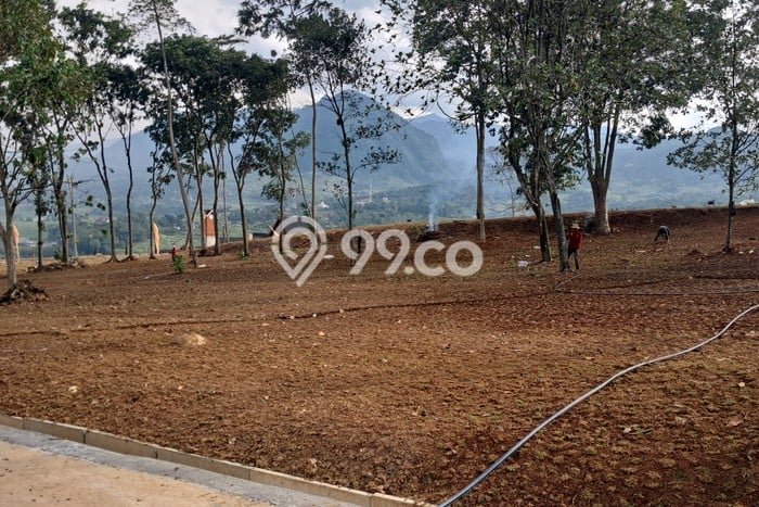 Kavling Tanah Dijual di Gunung Putri Bogor Spesifikasi 500m2 Kavling Tanah Dijual di Gunung Putri Bogor Spesifikasi 500m2