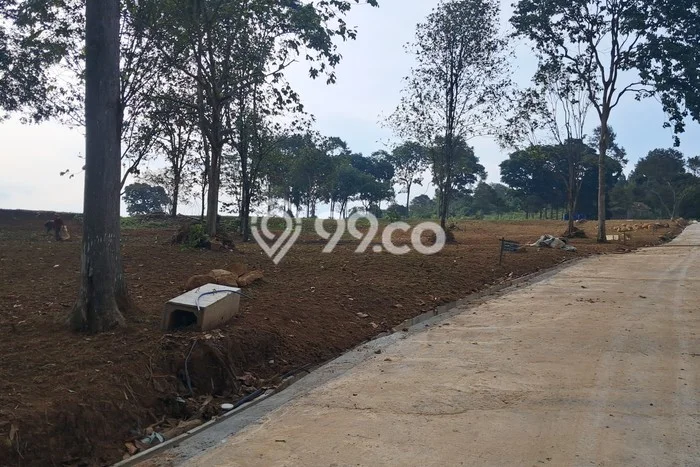 Kavling Tanah Dijual di Gunung Putri Bogor Spesifikasi 500m2 Kavling Tanah Dijual di Gunung Putri Bogor Spesifikasi 500m2
