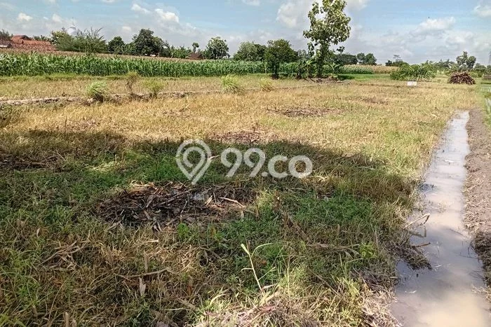 Tanah di Ngawen, Klaten Luas 1287m2 Dijual Segera Tanah di Ngawen, Klaten Luas 1287m2 Dijual Segera