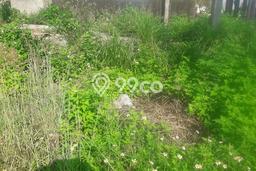 Kavling Tanah di Ngaliyan Dijual Luas 228m2 Legalitas SHM Kavling Tanah di Ngaliyan Dijual Luas 228m2 Legalitas SHM