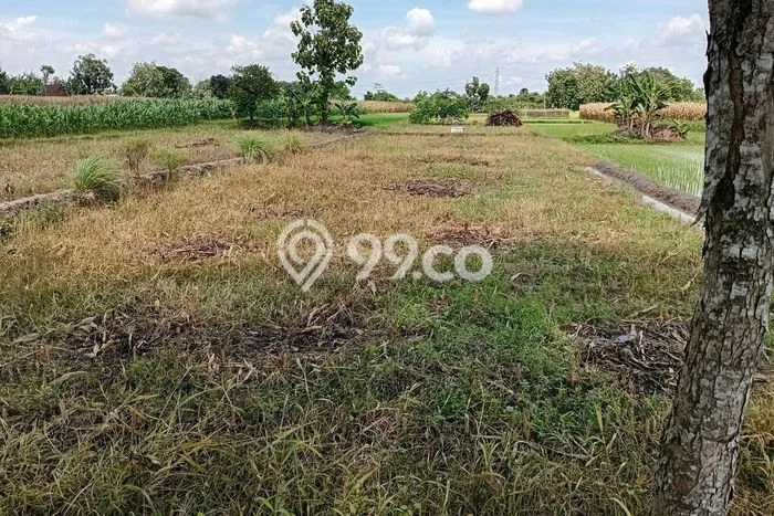 Tanah di Ngawen, Klaten Luas 1287m2 Dijual Segera Tanah di Ngawen, Klaten Luas 1287m2 Dijual Segera