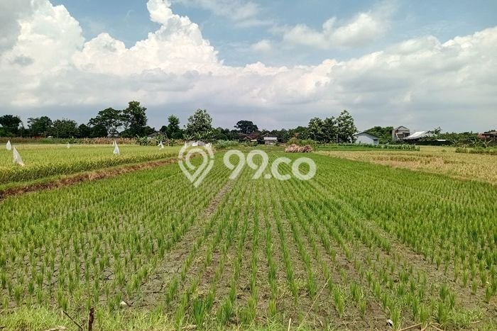 Tanah untuk Dijual Lokasi Ngawen, Klaten Luas 2240m2 SHM Tanah untuk Dijual Lokasi Ngawen, Klaten Luas 2240m2 SHM