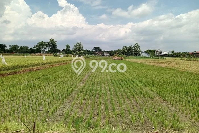 Tanah untuk Dijual Lokasi Ngawen, Klaten Luas 2240m2 SHM Tanah untuk Dijual Lokasi Ngawen, Klaten Luas 2240m2 SHM