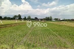 Tanah untuk Dijual Lokasi Ngawen, Klaten Luas 2240m2 SHM Tanah untuk Dijual Lokasi Ngawen, Klaten Luas 2240m2 SHM