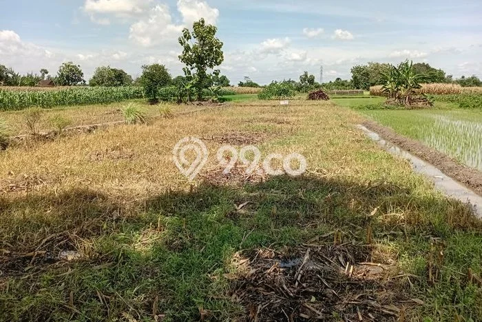 Tanah di Ngawen, Klaten Luas 1287m2 Dijual Segera Tanah di Ngawen, Klaten Luas 1287m2 Dijual Segera