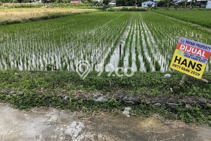Untuk Dijual Tanah di Ngawen Klaten Luas 1850m2 SHM Untuk Dijual Tanah di Ngawen Klaten Luas 1850m2 SHM