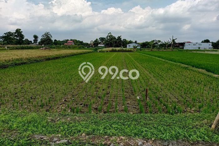 Untuk Dijual Tanah di Ngawen Klaten Luas 1850m2 SHM Untuk Dijual Tanah di Ngawen Klaten Luas 1850m2 SHM