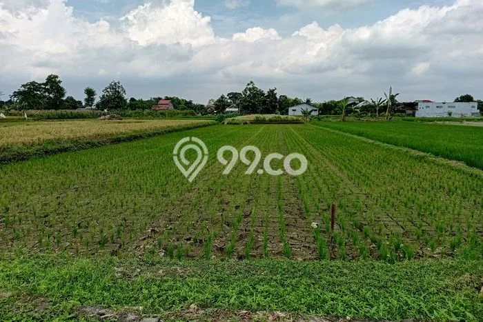 Untuk Dijual Tanah di Ngawen Klaten Luas 1850m2 SHM Untuk Dijual Tanah di Ngawen Klaten Luas 1850m2 SHM