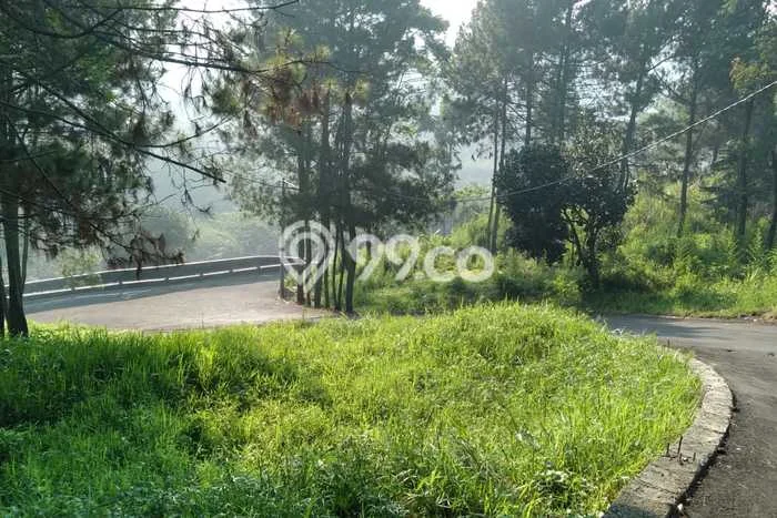 Tanah untuk Dijual Lokasi Lembang, Bandung Barat Luas 1575m2 SHM Tanah untuk Dijual Lokasi Lembang, Bandung Barat Luas 1575m2 SHM