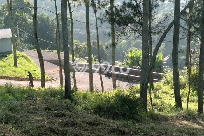 Tanah untuk Dijual Lokasi Lembang, Bandung Barat Luas 1575m2 SHM Tanah untuk Dijual Lokasi Lembang, Bandung Barat Luas 1575m2 SHM