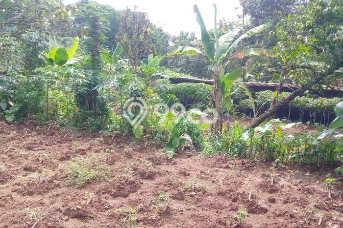 Dijual Tanah 120m2 di Curug, Bogor Dijual Tanah 120m2 di Curug, Bogor