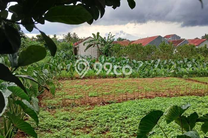 Dijual Tanah di Bogor, Luas 193m2 SHM Dijual Tanah di Bogor, Luas 193m2 SHM