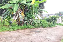 Tanah Dijual di Depok Seluas 141m2 Strategis Tanah Dijual di Depok Seluas 141m2 Strategis