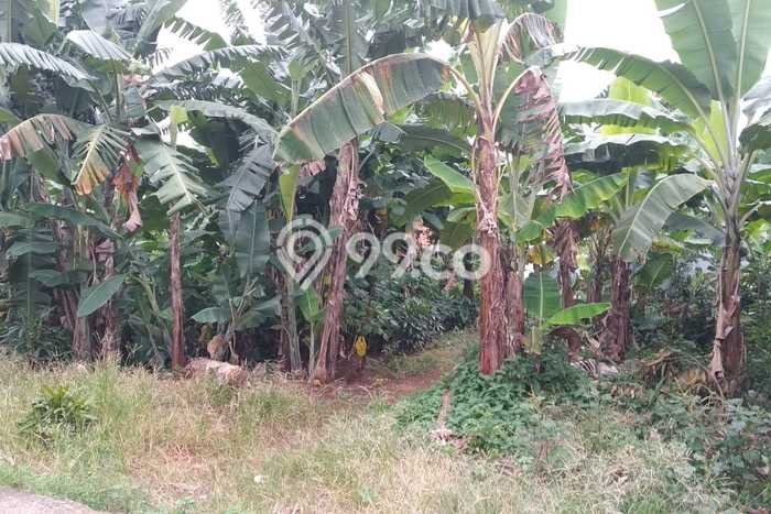 Tanah di Sawangan, Depok Luas 120m2 Dijual Segera Tanah di Sawangan, Depok Luas 120m2 Dijual Segera