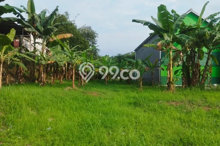 Tanah Dijual di Bogor Seluas 80m2 Strategis Tanah Dijual di Bogor Seluas 80m2 Strategis