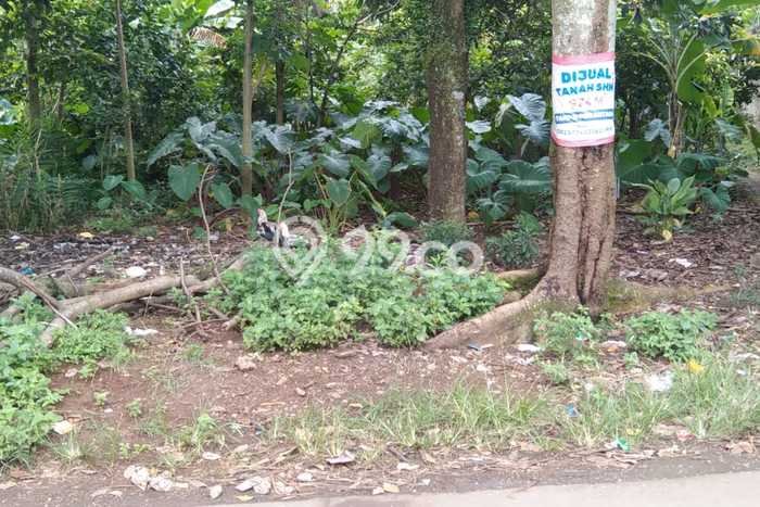 Tanah Komersial Dijual di Cibinong Bogor 116m2 Tanah Komersial Dijual di Cibinong Bogor 116m2