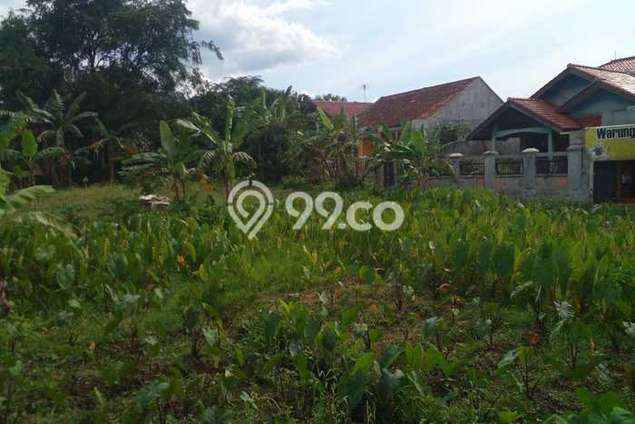 Lahan untuk Dijual Lokasi Ciomas, Bogor Luas 92m2 SHM Lahan untuk Dijual Lokasi Ciomas, Bogor Luas 92m2 SHM