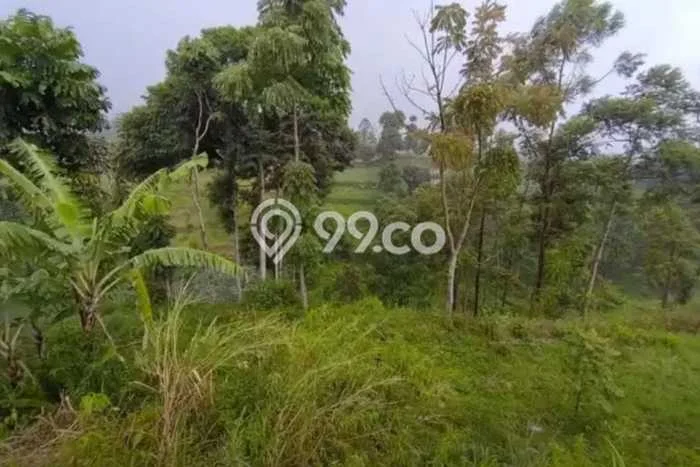 Tanah di Lembang, Bandung Barat Luas 3950m2 Dijual Segera Tanah di Lembang, Bandung Barat Luas 3950m2 Dijual Segera