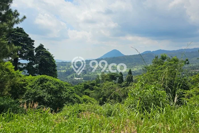 Tanah Kavling Disewakan di Sentul dengan Luas 30000m2 Tanah Kavling Disewakan di Sentul dengan Luas 30000m2