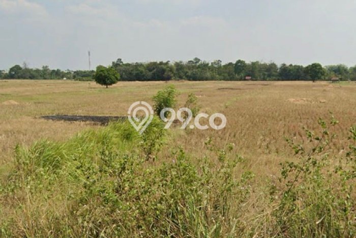 Untuk Dijual Tanah di Jatiwangi Majalengka Luas 14730m2 SHM Untuk Dijual Tanah di Jatiwangi Majalengka Luas 14730m2 SHM
