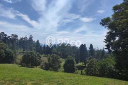 Kavling Tanah untuk Dijual di Dago, Bandung, Luas 15000m2 Kavling Tanah untuk Dijual di Dago, Bandung, Luas 15000m2