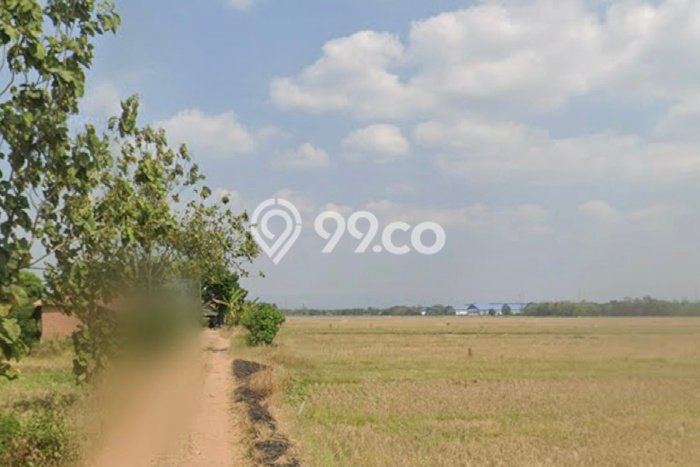 Untuk Dijual Tanah di Jatiwangi Majalengka Luas 14730m2 SHM Untuk Dijual Tanah di Jatiwangi Majalengka Luas 14730m2 SHM