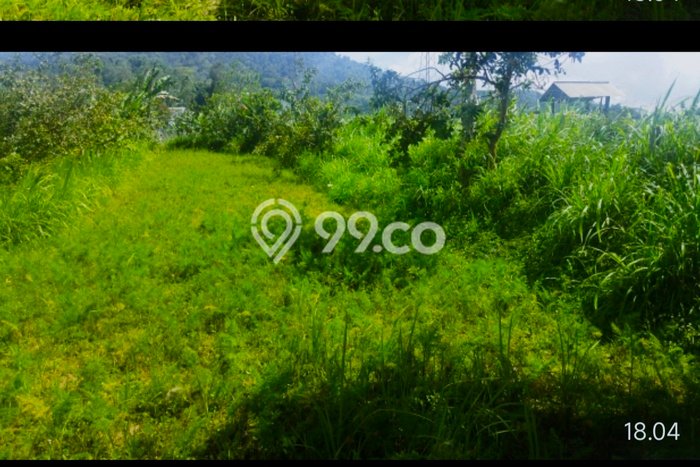 Dijual Tanah Lokasi Pancasari, Buleleng Seluas 500m2 Dijual Tanah Lokasi Pancasari, Buleleng Seluas 500m2