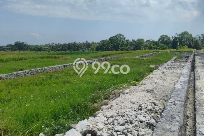 Kavling Tanah untuk Dijual di Kedungu, Tabanan, Luas 200m2 Kavling Tanah untuk Dijual di Kedungu, Tabanan, Luas 200m2