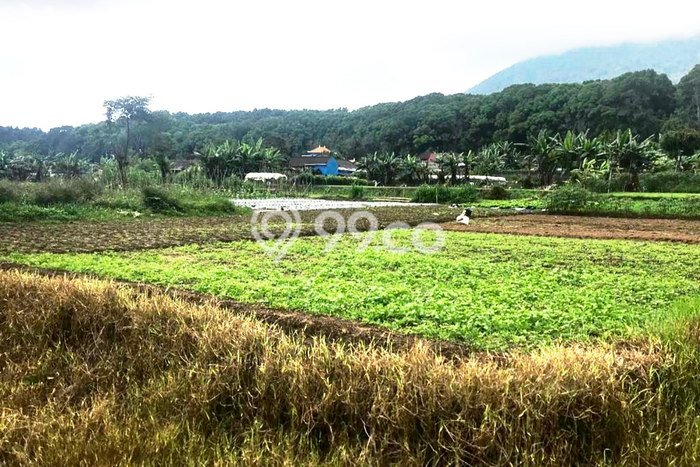 Dijual Tanah Lokasi Bedugul, Tabanan Seluas 265m2 Dijual Tanah Lokasi Bedugul, Tabanan Seluas 265m2