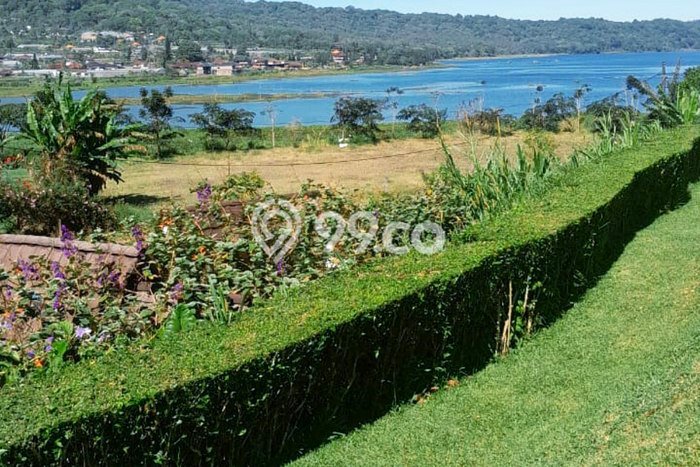 Lahan Dijual Lokasi Strategis di Buleleng dengan Luas 9300m2 Lahan Dijual Lokasi Strategis di Buleleng dengan Luas 9300m2