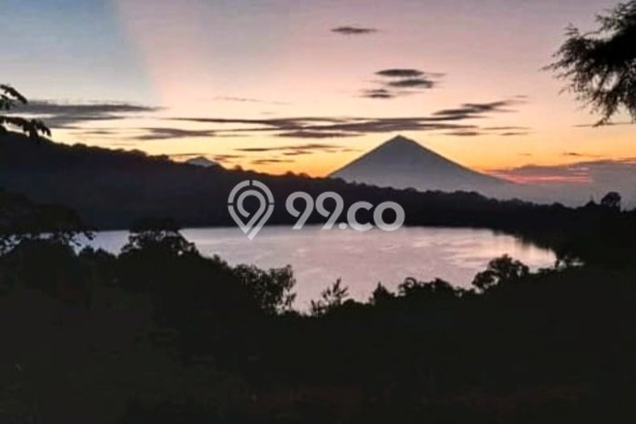 Tanah Dijual Area Strategis di Bedugul Tabanan 5130m2 Tanah Dijual Area Strategis di Bedugul Tabanan 5130m2