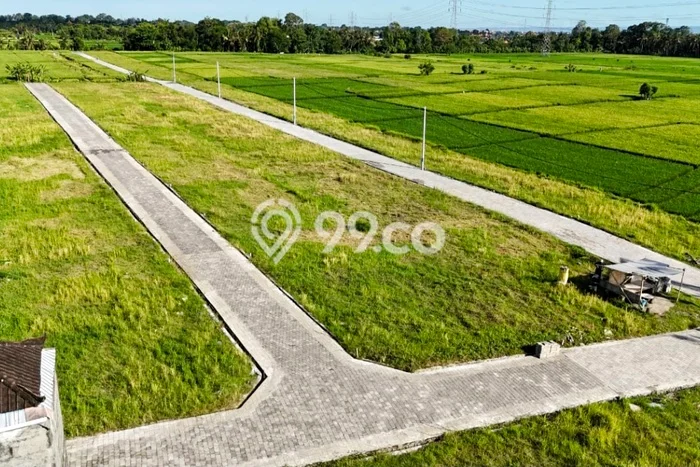Tanah Kavling Dijual di Kedungu, Tabanan dengan Luas Tanah 125m2 Tanah Kavling Dijual di Kedungu, Tabanan dengan Luas Tanah 125m2