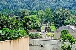 Dijual Tanah Lokasi Pancasari, Buleleng Seluas 500m2 Dijual Tanah Lokasi Pancasari, Buleleng Seluas 500m2