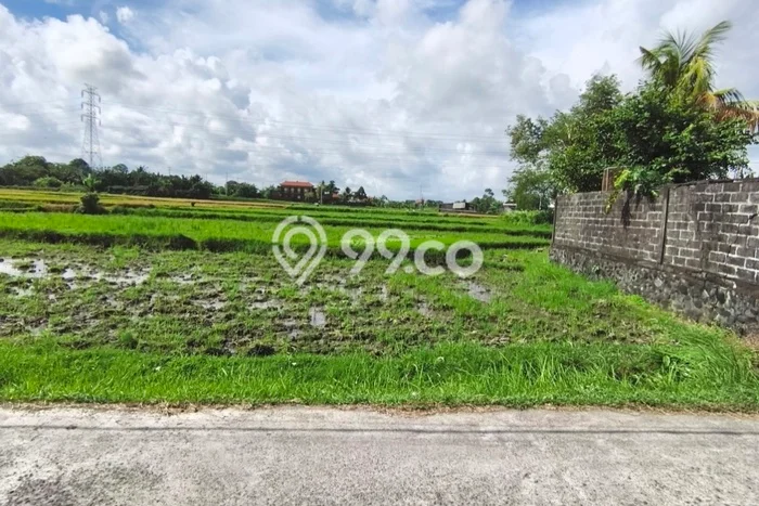 Tanah Dijual di Tabanan Seluas 2600m2 Strategis Tanah Dijual di Tabanan Seluas 2600m2 Strategis