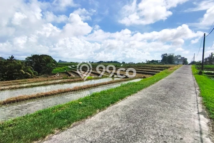 Tanah Dijual di Tabanan Seluas 2600m2 Strategis Tanah Dijual di Tabanan Seluas 2600m2 Strategis