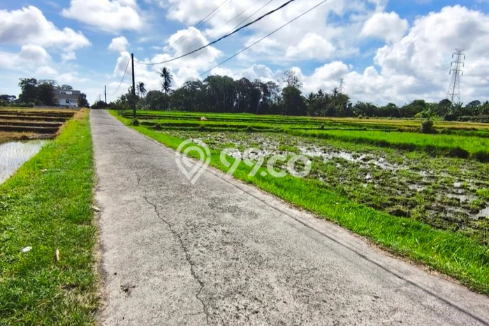 Tanah Dijual di Tabanan Seluas 2600m2 Strategis Tanah Dijual di Tabanan Seluas 2600m2 Strategis