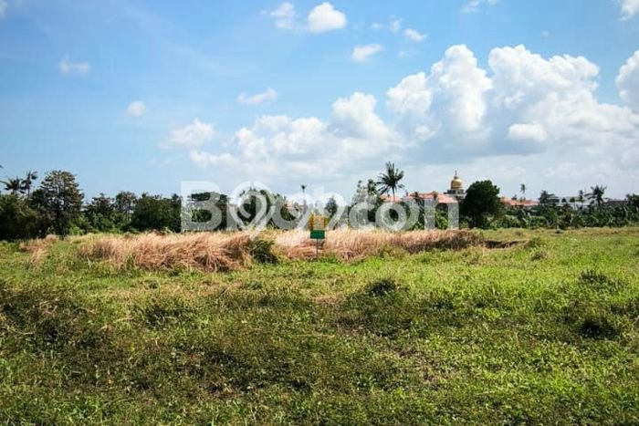 Tanah Kavling Dijual di Pererenan, Badung dengan Luas Tanah 600m2 Tanah Kavling Dijual di Pererenan, Badung dengan Luas Tanah 600m2