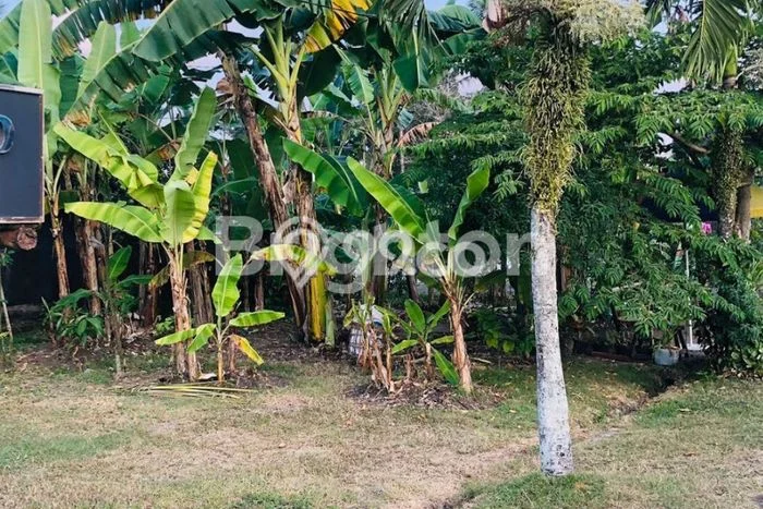 Tanah Kawasan Kediri, Luas 167m2m², Kawasan Prospektif, Dekat Kediri, Tabanan, Tabanan Tanah Kawasan Kediri, Luas 167m2m², Kawasan Prospektif, Dekat Kediri, Tabanan, Tabanan