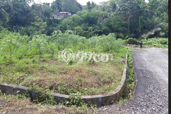 Lahan untuk Dijual Lokasi Kerambitan, Tabanan Luas 200m2 SHM Lahan untuk Dijual Lokasi Kerambitan, Tabanan Luas 200m2 SHM