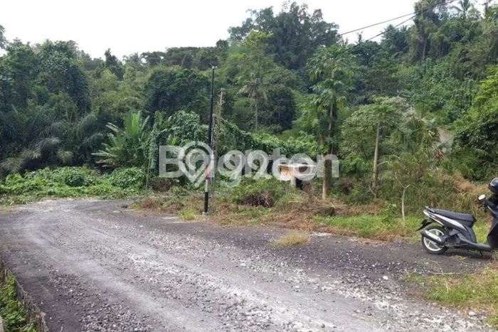 Lahan untuk Dijual Lokasi Kerambitan, Tabanan Luas 200m2 SHM Lahan untuk Dijual Lokasi Kerambitan, Tabanan Luas 200m2 SHM