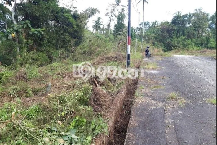 Lahan untuk Dijual Lokasi Kerambitan, Tabanan Luas 200m2 SHM Lahan untuk Dijual Lokasi Kerambitan, Tabanan Luas 200m2 SHM