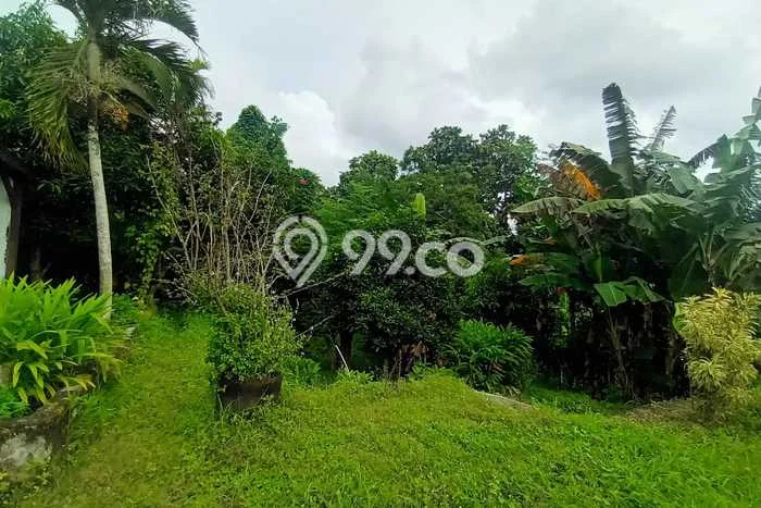Tanah Siap Bangun Dijual di Gianyar Punya Luas 419m2 Tanah Siap Bangun Dijual di Gianyar Punya Luas 419m2