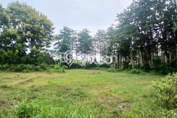Kavling Tanah Dijual di Kuta Selatan, Badung, Luas 250m2 Area Strategis Kavling Tanah Dijual di Kuta Selatan, Badung, Luas 250m2 Area Strategis