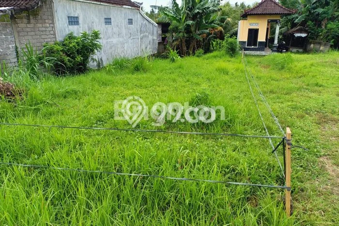 Tanah Kavling Dijual di Jembrana dengan Spesifikasi 215m2 Tanah Kavling Dijual di Jembrana dengan Spesifikasi 215m2