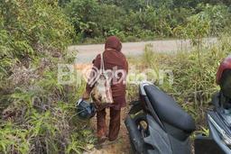Tanah Dijual Area Strategis di Sepinggan Balikpapan 400m2 Tanah Dijual Area Strategis di Sepinggan Balikpapan 400m2
