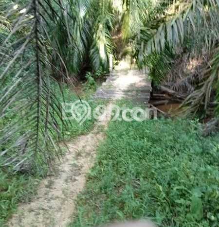 Tanah Dijual Area Strategis di Kota Bangun Kutai Kartanegara 40000m2 Tanah Dijual Area Strategis di Kota Bangun Kutai Kartanegara 40000m2