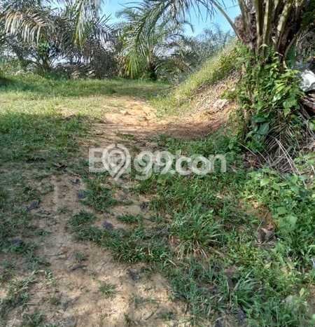 Tanah Dijual Area Strategis di Kota Bangun Kutai Kartanegara 40000m2 Tanah Dijual Area Strategis di Kota Bangun Kutai Kartanegara 40000m2