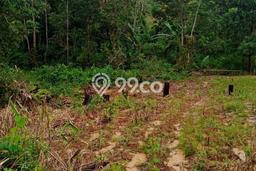 Tanah di Balikpapan Utara, Luas 300m², Jalur Mudah, Area Berkembang Tanah di Balikpapan Utara, Luas 300m², Jalur Mudah, Area Berkembang