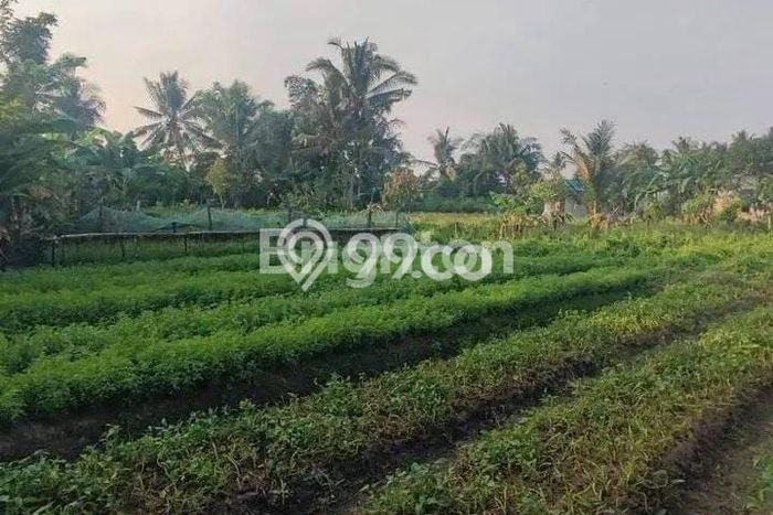Dijual Tanah 300m2 di Manggar, Balikpapan Dijual Tanah 300m2 di Manggar, Balikpapan